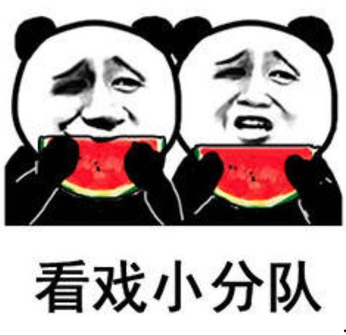 娱乐吃瓜视频号,吃瓜视频号带你探秘明星生活