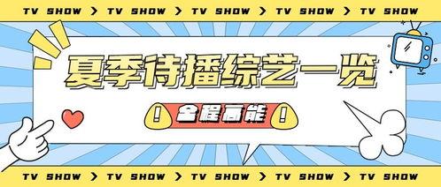 娱乐吃瓜号背景,吃瓜号背后的真相大揭秘