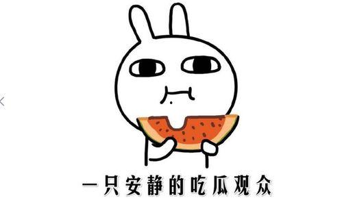 吃瓜是啥意思,网络热词背后的文化现象