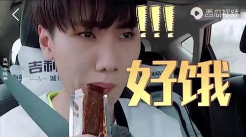 爱豆吃瓜娱乐酱追星族,揭秘追星族的疯狂世界